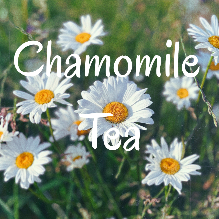 Chamomile flowers tea organic Azielco