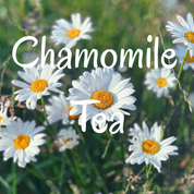 Chamomile flowers tea organic Azielco