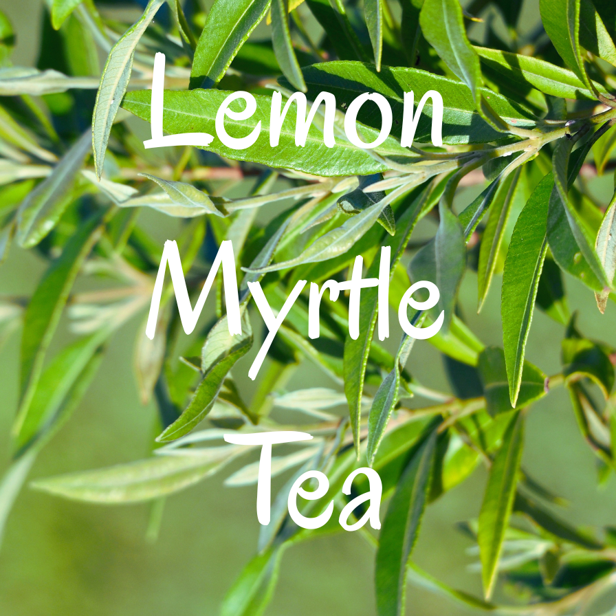 Lemon myrtle leaves with text overlay 'Lemon Myrtle Tea' organic AzielCo
