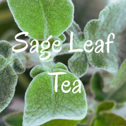 Azielco_sage_leaf =_tea 