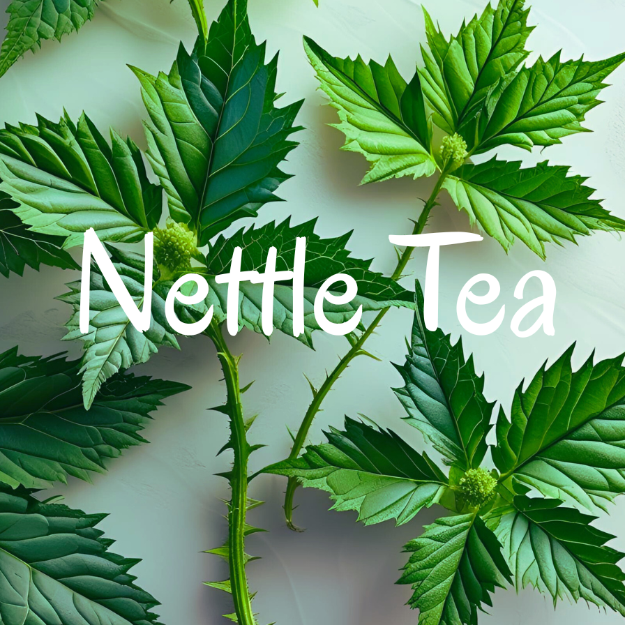 Nettle leaves with the text 'Nettle Tea' on a light green background_organic loose_leaf_tea_Azielco
